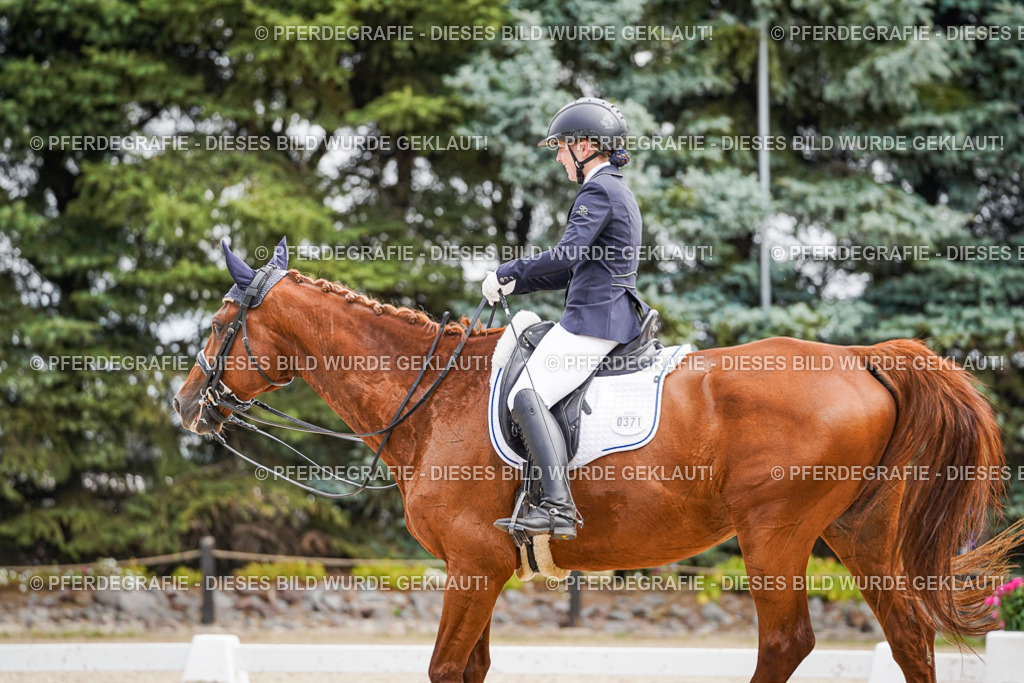 DSC03185 | Pferdegrafie