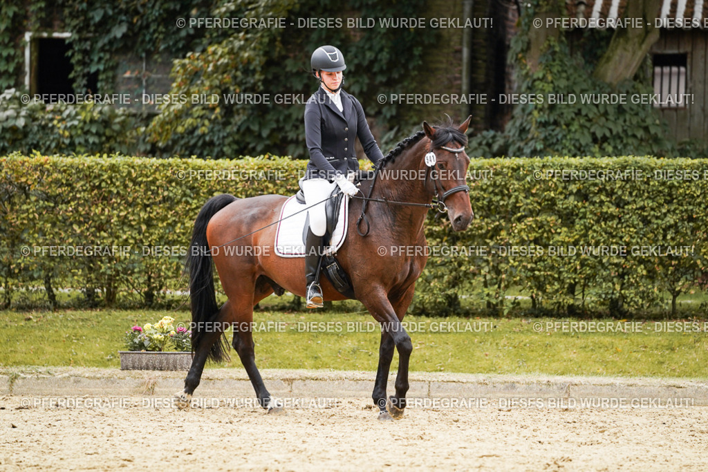 DSC09910 | Pferdegrafie