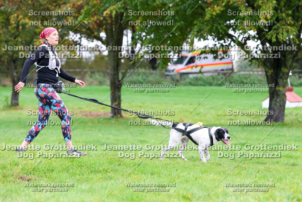 Dog Paparazzi -  SD1026-1067 | Dog Paparazzi Jeanette Grottendiek Fotografie & Videografie - Realisiert mit Pictrs.com