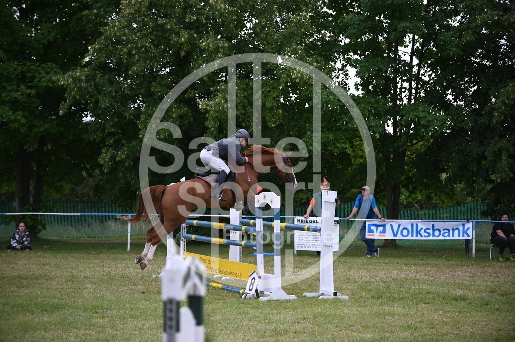 DSC_8004 | sattelsport - Realisiert mit Pictrs.com