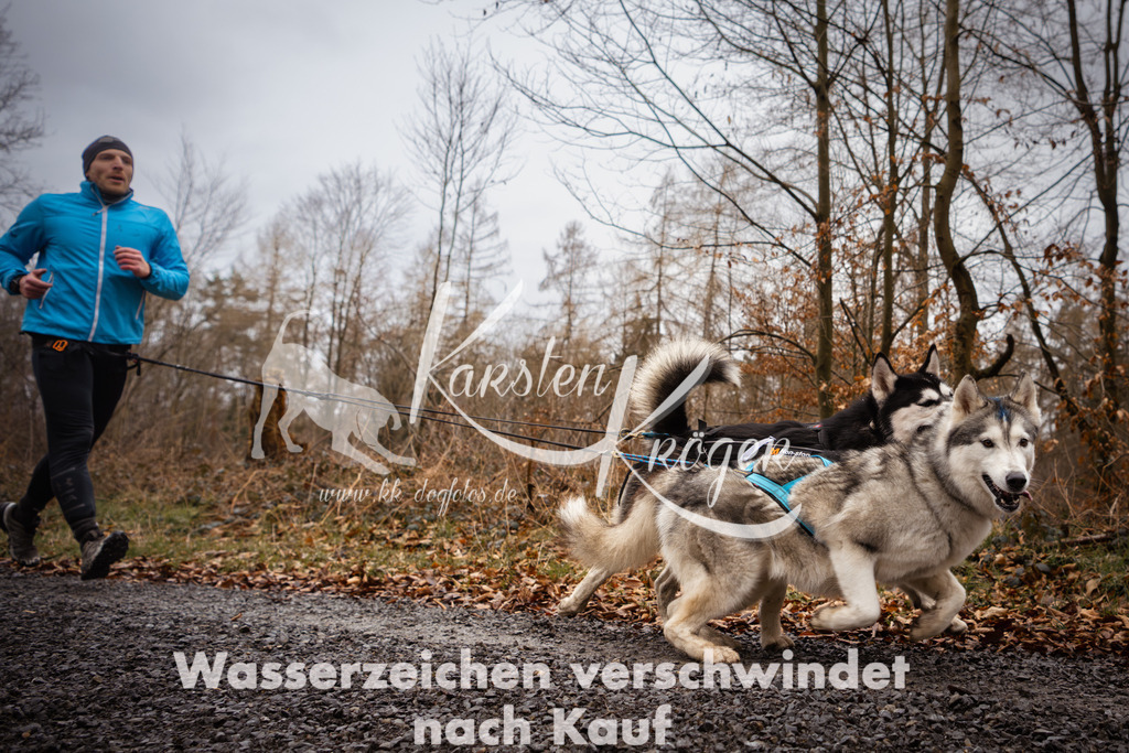 1055_ZZ98094 | kk-dogfotos