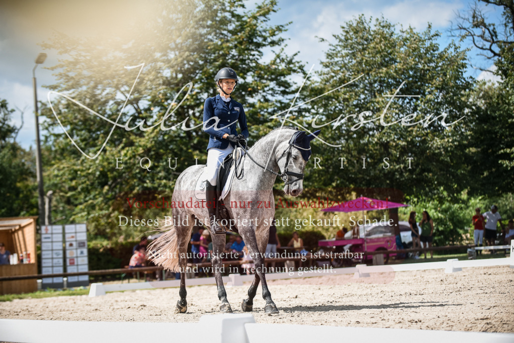DSC_9258 | Pferde- und Turnierfotografie in Westsachsen. Pferdeportraits, Auftragszeichnungen und intuitive Kunst.