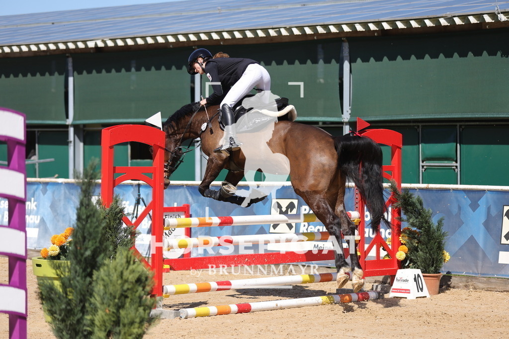 0P6A7842 | Willkommen bei Brunnmayr - Design & Fotografie – Ihrem Spezialisten für Reitturniere und Pferdeveranstaltungen in Oberösterreich, Salzburg und Bayern! Seit über 17 Jahren sind wir leidenschaftlich dabei.