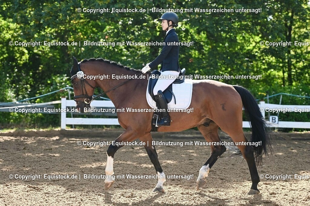 20230716_04_Dressurreiterprüfung Kl.A_0137 | equistock