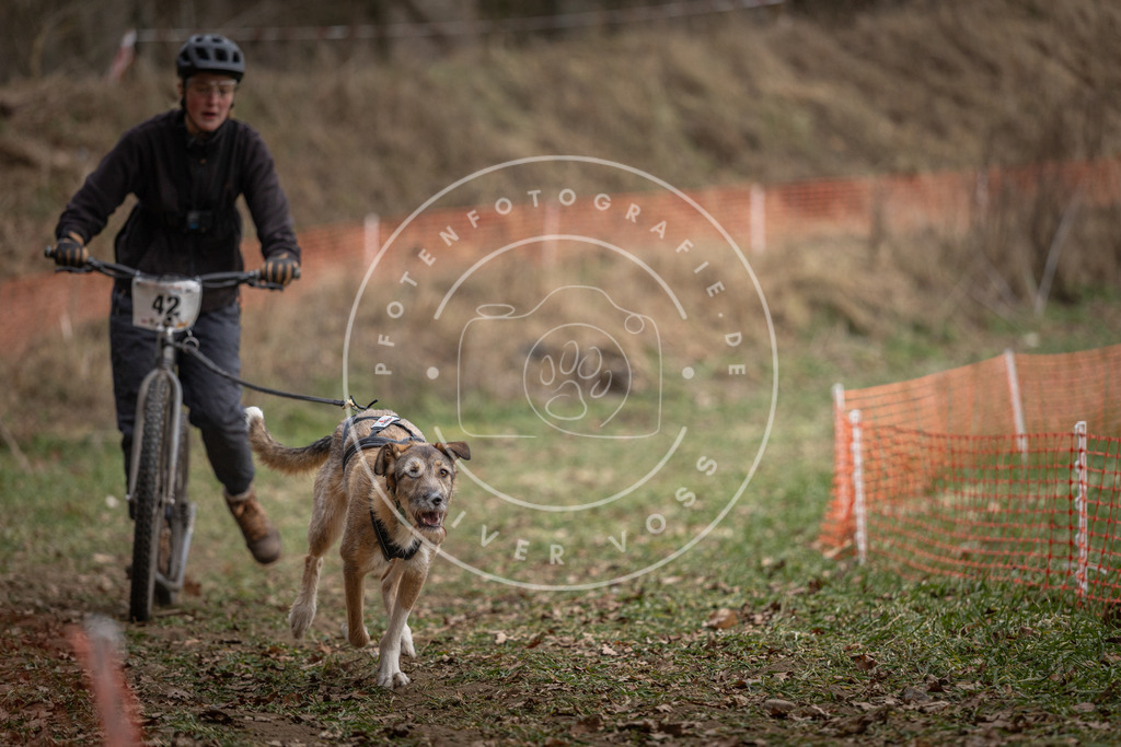 Pfotenfotografie_DV3A0559 | Hundefotografie, Tierfotograf, Pfotenfotografie, Fotoshooting Hund, Hunde Portrait, Hundesport, Hundeportraits, Heideshooting, Hunde, Sportfotograf, Hundefotograf, Turnierhundsport, THS,  - Realisiert mit Pictrs.com