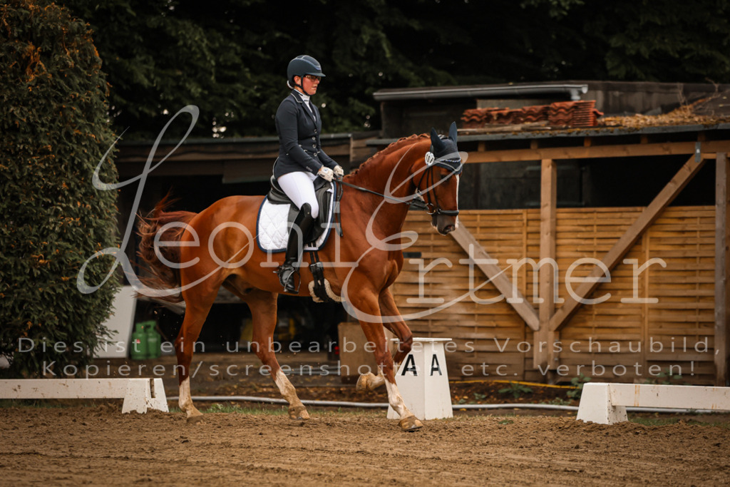 17.SoDrL00242 | Leoni Ertmer Photography - Realisiert mit Pictrs.com