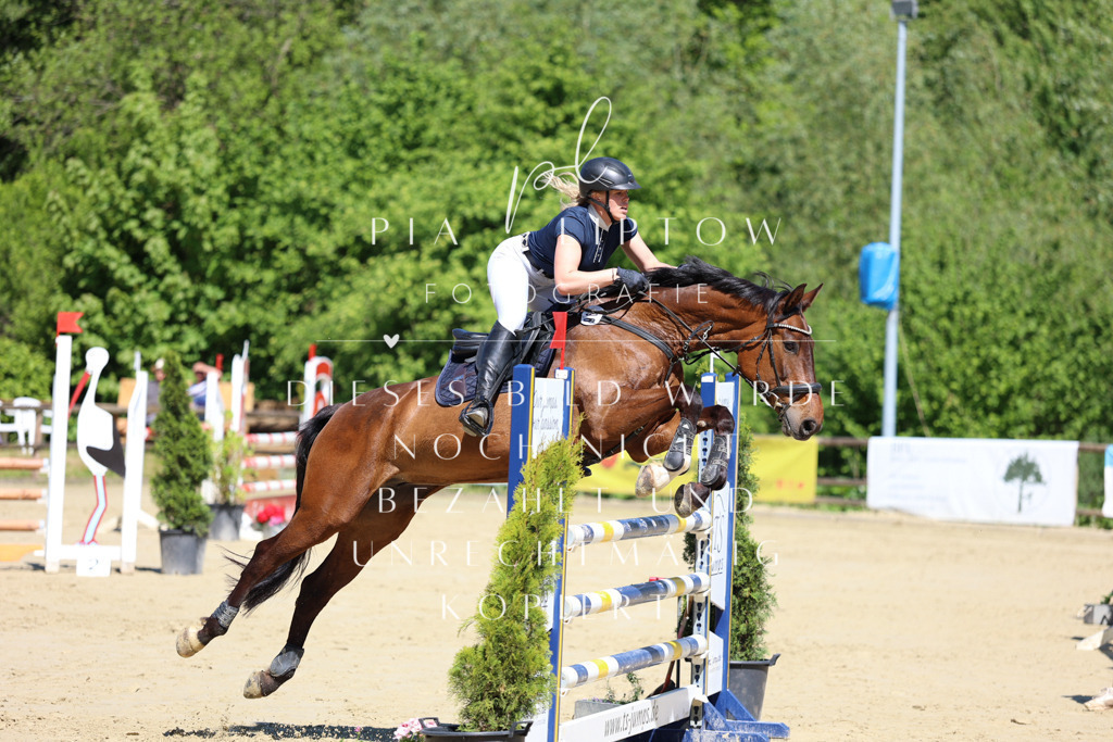 IMGS7521 | pl-fotografie