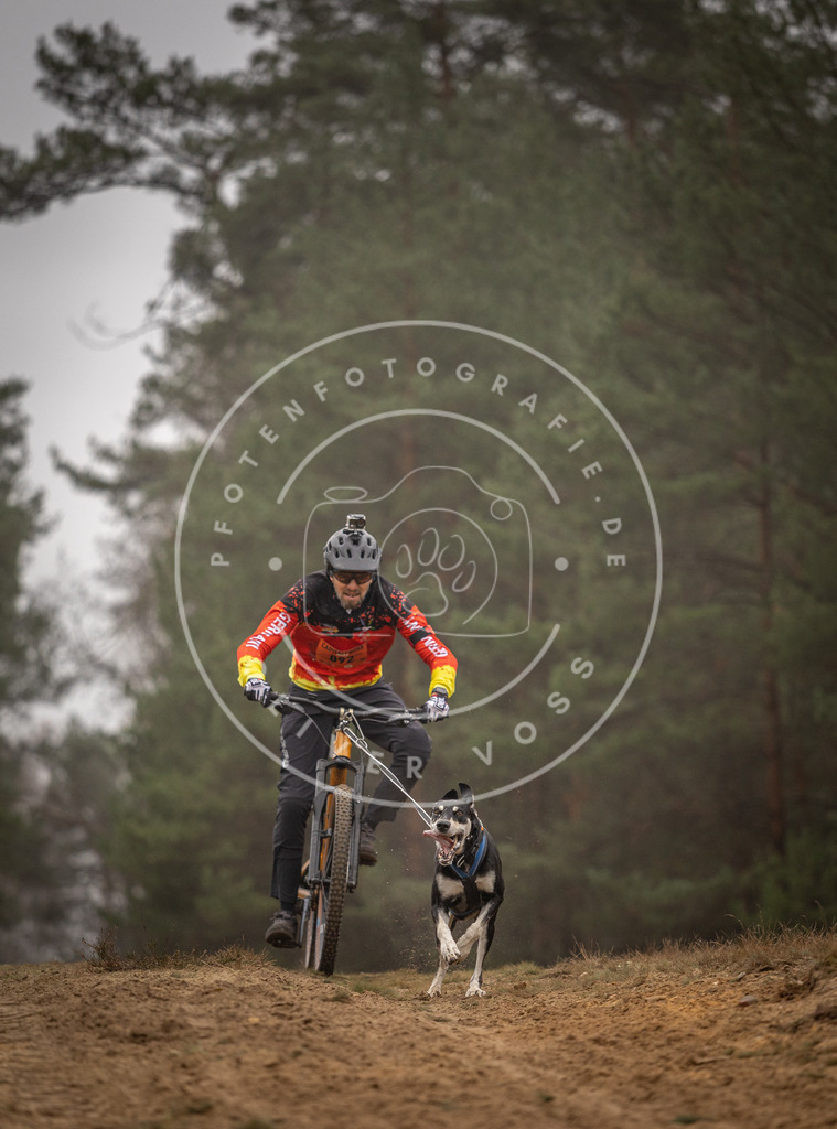 Pfotenfotografie_DV3A2977 | Hundefotografie, Tierfotograf, Pfotenfotografie, Fotoshooting Hund, Hunde Portrait, Hundesport, Hundeportraits, Heideshooting, Hunde, Sportfotograf, Hundefotograf, Turnierhundsport, THS,  - Realisiert mit Pictrs.com