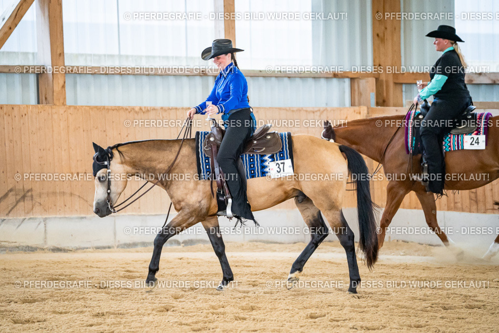 DSC09066 | Pferdegrafie