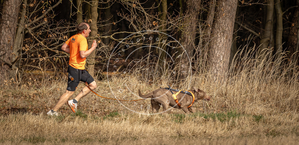 DV3A3941 | Hundefotografie, Tierfotograf, Pfotenfotografie, Fotoshooting Hund, Hunde Portrait, Hundesport, Hundeportraits, Heideshooting, Hunde, Sportfotograf, Hundefotograf, Turnierhundsport, THS,  - Realisiert mit Pictrs.com
