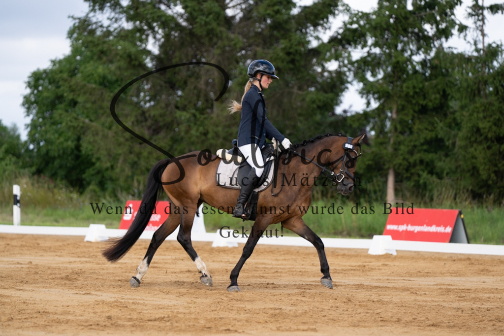 A7V05190 | Pferdefotograf