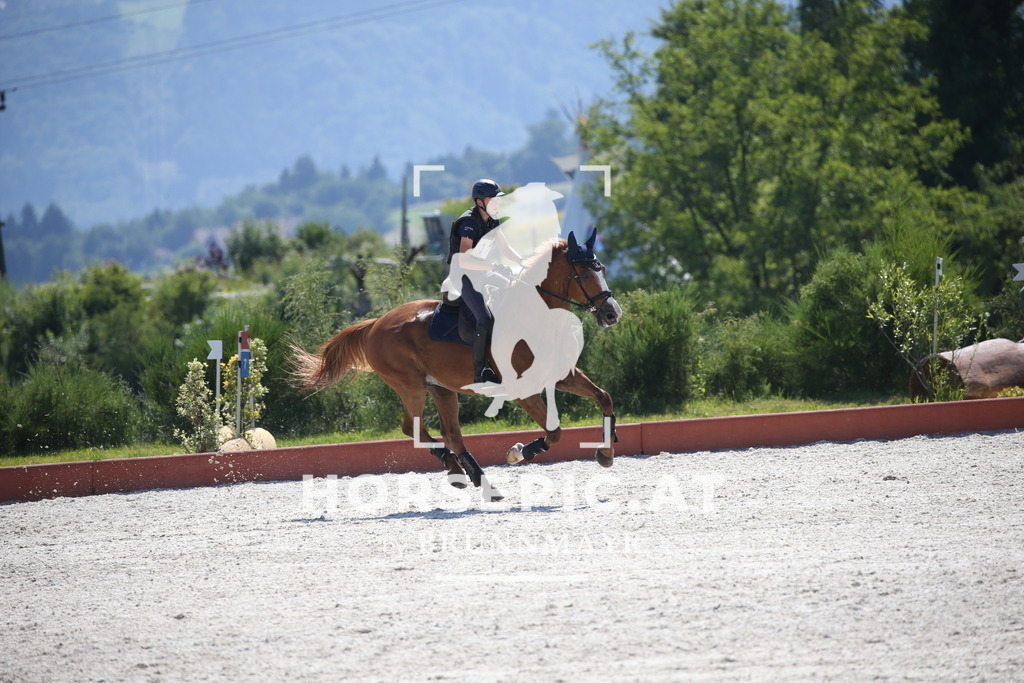 DL2Q1654 | Willkommen bei Brunnmayr - Design & Fotografie – Ihrem Spezialisten für Reitturniere und Pferdeveranstaltungen in Oberösterreich, Salzburg und Bayern! Seit über 17 Jahren sind wir leidenschaftlich dabei.