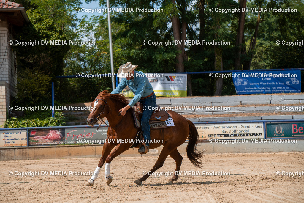 ZS3_9619 | dv-media-shop - Realisiert mit Pictrs.com