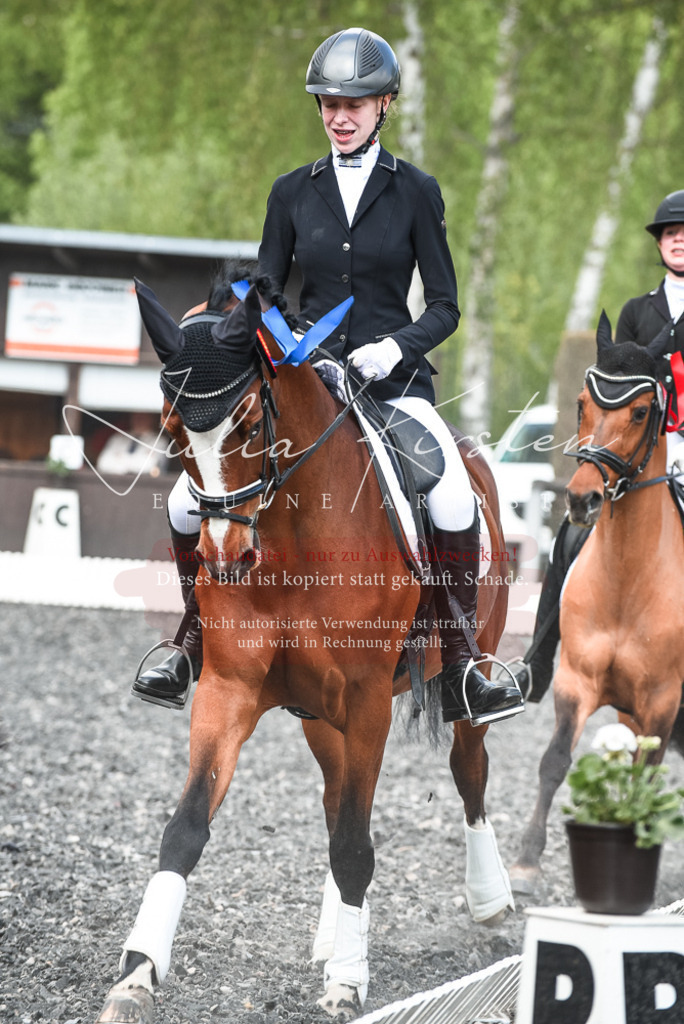 DSC_9097 | Pferde- und Turnierfotografie in Westsachsen. Pferdeportraits, Auftragszeichnungen und intuitive Kunst.