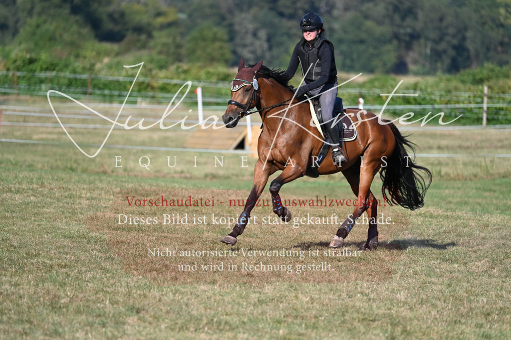 DSC_8984 | Pferde- und Turnierfotografie in Westsachsen. Pferdeportraits, Auftragszeichnungen und intuitive Kunst.