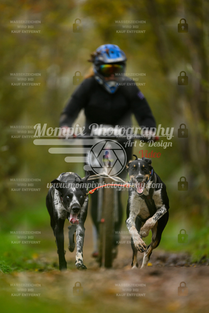MompixPhotography_20TSB_E6_DS2-18 | PayLife