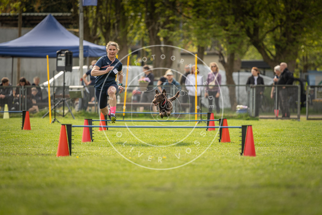 Pfotenfotografie_DV3A6018 | Hundefotografie, Tierfotograf, Pfotenfotografie, Fotoshooting Hund, Hunde Portrait, Hundesport, Hundeportraits, Heideshooting, Hunde, Sportfotograf, Hundefotograf, Turnierhundsport, THS,  - Realisiert mit Pictrs.com