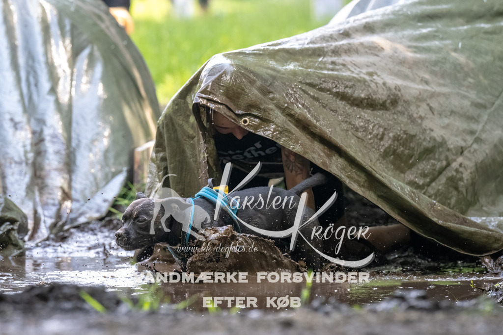 1158_ZZ90674-Bearbeitet | kk-dogfotos