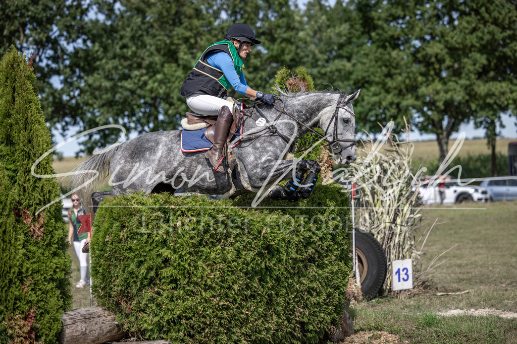 20250907-_3LI0989 | Tierfotografie Pferde, Hunde, Katzen, Haustiere.
Turnierfotografie Reitturniere, Reiten, Springreiten, Dressur in Hanau, dem Main-Kinzig-Kreis und dem Rhein-Main- Gebiet um Frankfurt