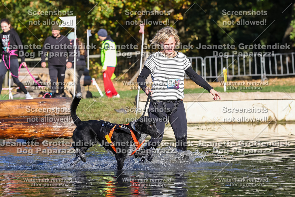 Dog Paparazzi - Strongdog 10-25-8769 | Dog Paparazzi Jeanette Grottendiek Fotografie & Videografie - Realisiert mit Pictrs.com