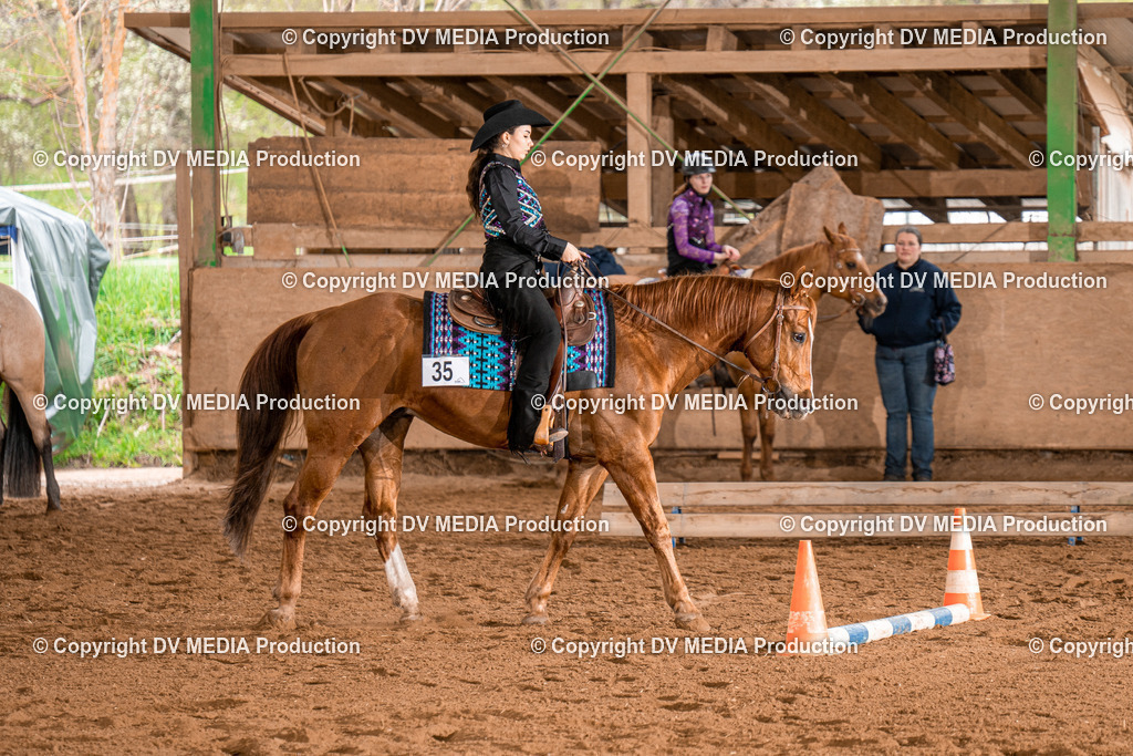 BAL00687 | dv-media-shop - Realisiert mit Pictrs.com