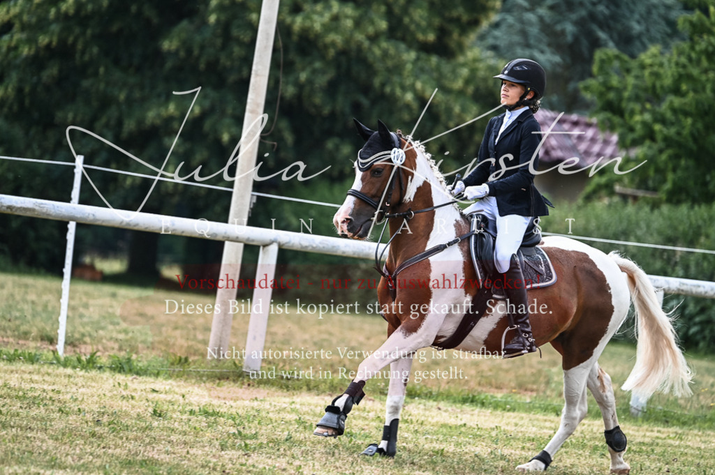 DSC_8548 | Pferde- und Turnierfotografie in Westsachsen. Pferdeportraits, Auftragszeichnungen und intuitive Kunst.