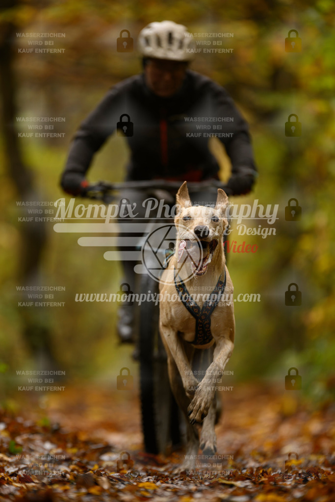 MompixPhotography_CD7S_DI_Bike-8 | mompixphotography