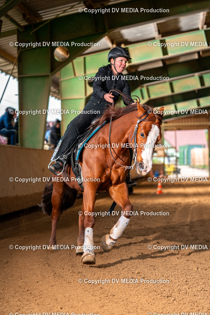 Balingen Tag 4-1258 | dv-media-shop - Realisiert mit Pictrs.com