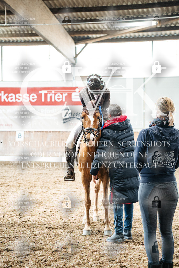 CK703138 | Turnierfotografie Pferdefotografie Trier Rheinland-Pfalz Pferdesport Reitsport Tierfotografie Sportfotografie Pferdevideo Pferdevideografie Equestrianvideography equestrianphotography  - Realized with Pictrs.com
