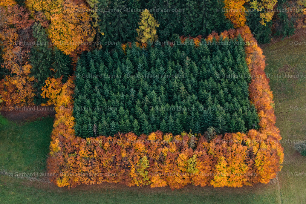 3808318 | Herbstliche Bäume bei Breitenbrunn, Nürnberger Land