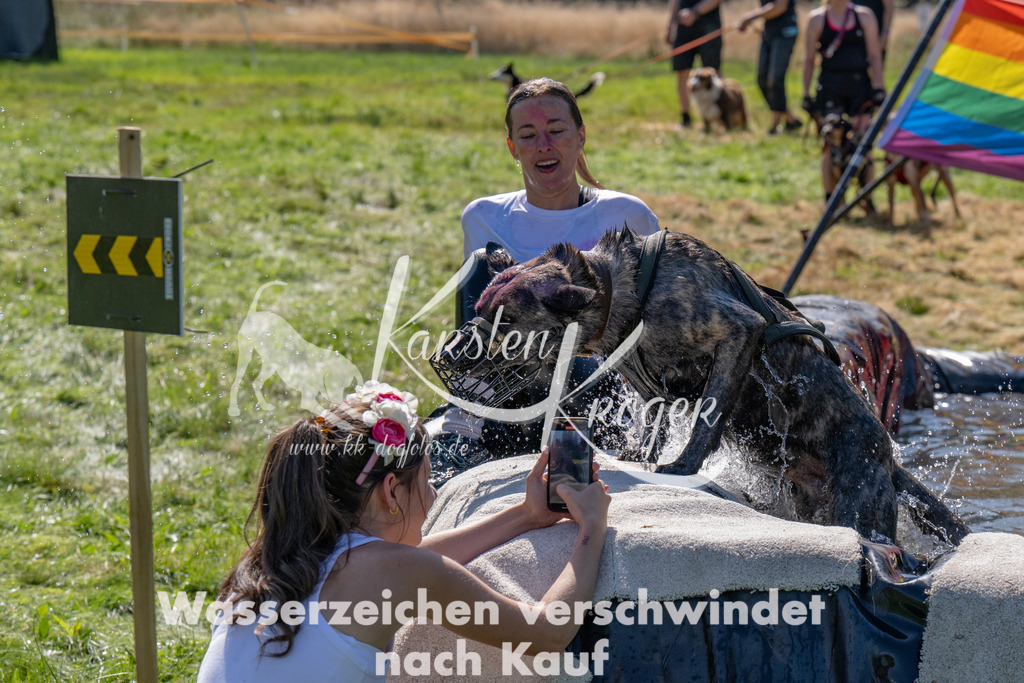 1238_ZZ92977 | kk-dogfotos