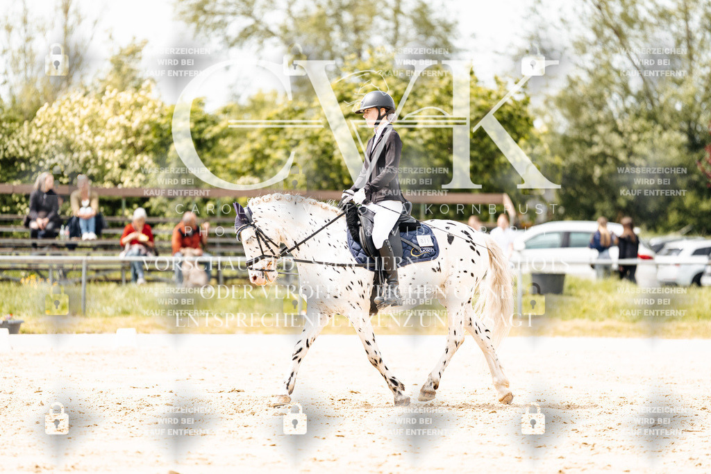 CK902302 | Turnierfotografie Pferdefotografie Trier Rheinland-Pfalz Pferdesport Reitsport Tierfotografie Sportfotografie Pferdevideo Pferdevideografie Equestrianvideography equestrianphotography  - Realisiert mit Pictrs.com