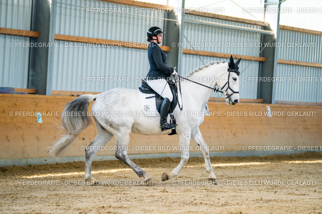 DSC06256 | Pferdegrafie