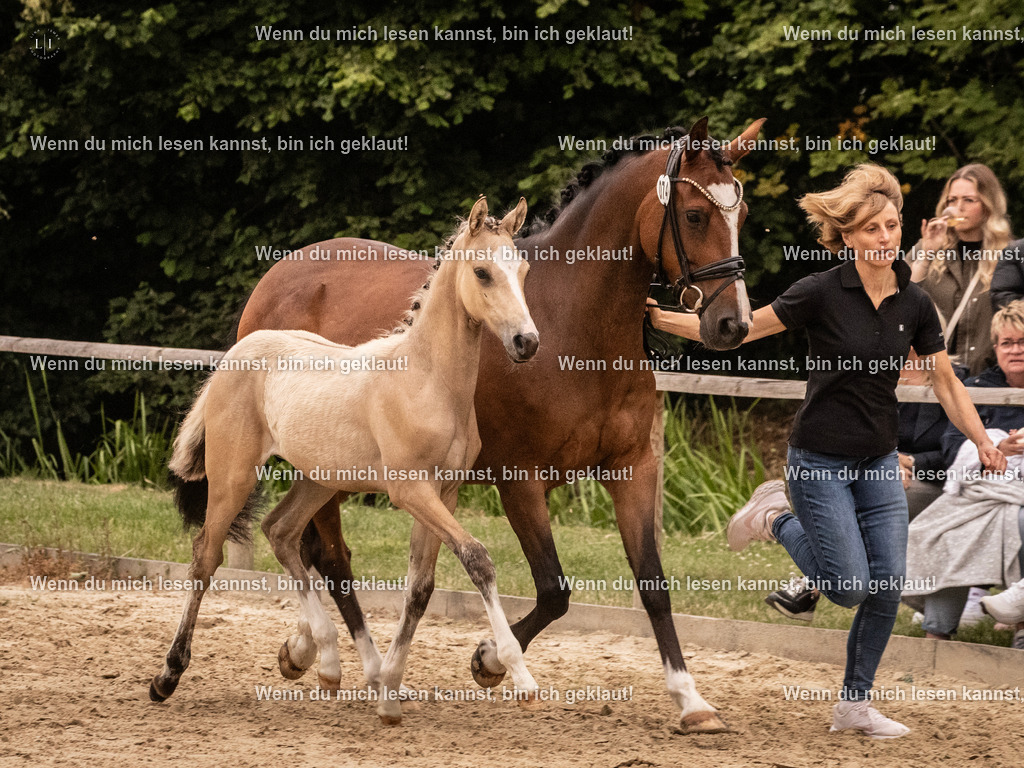 A10I3136 15.56.14 | photographylinaismer - Realisiert mit Pictrs.com