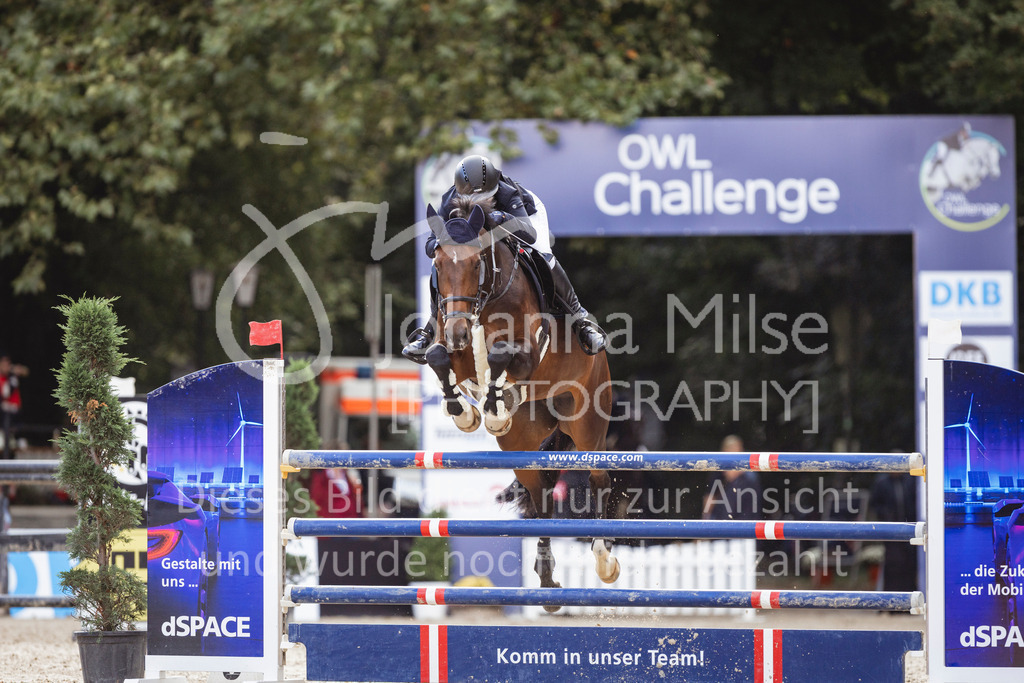 240912_OWLCh_AmateurL-429 | Deine schönsten Turniermomente als professionelle Fotos! Entdecke hochwertige Pferdesport-Fotografie im Online-Shop. Jetzt Fotos finden & bestellen!