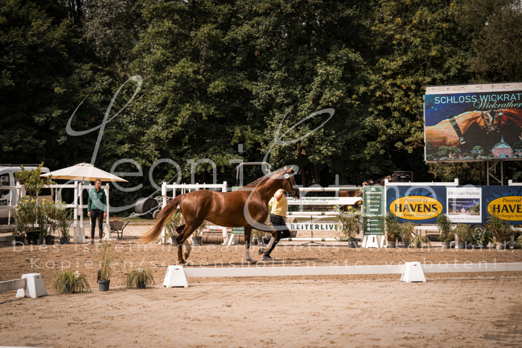 2. Fr00023 | Leoni Ertmer Photography - Realisiert mit Pictrs.com