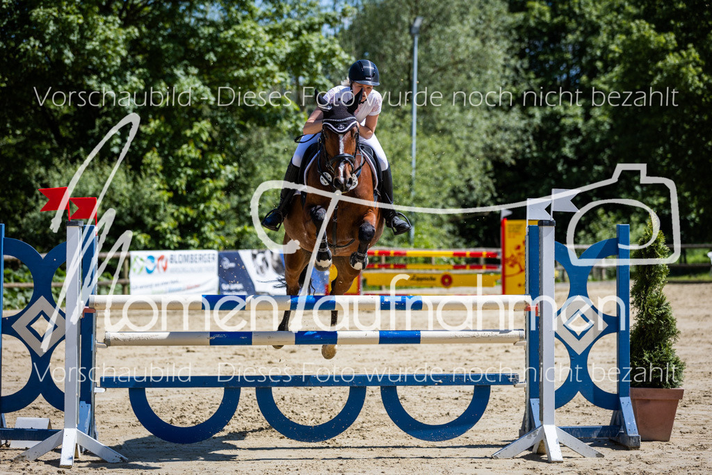 Donop24-Stil-L-076 | MomenTaufnahmen Pferdesportfotos