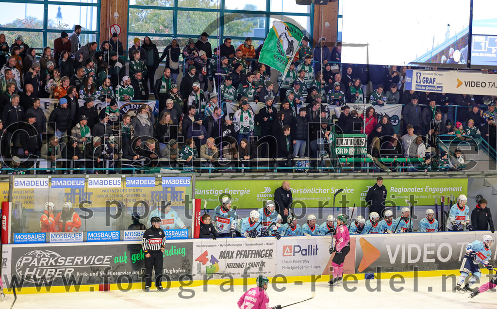 2025-10-05_081_TSV_Erding_gegen_Heilbronner_Falken | Erding, Deutschland, 05.10.2025:Eishockey, Oberliga Süd 2025 / 2026, 6. Spieltag, TSV Erding gegen Heilbronner Falken, Endergebnis: 3:1Foto: Christian Riedel / fotografie-riedel.net