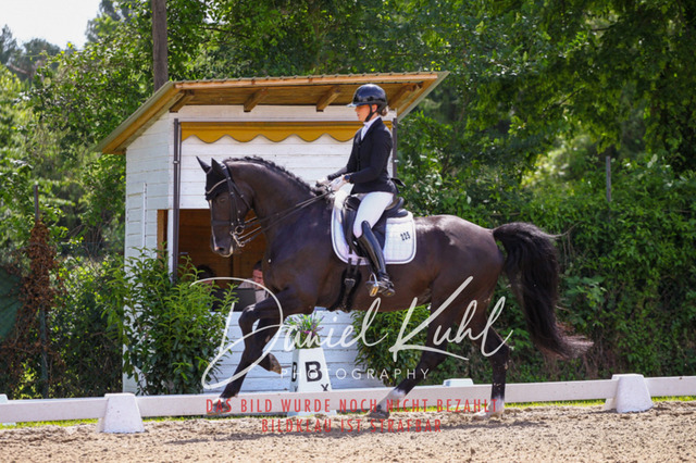 DKP41139 | Turnierfotos kaufen im Webshop von Daniel Kuhl Photography – entdecke professionelle Reitsportfotos aus Turnieren & Events. Hochwertige Turnierbilder online bestellen & sichern. Jetzt Fotos von Reitsportturnieren kaufen!