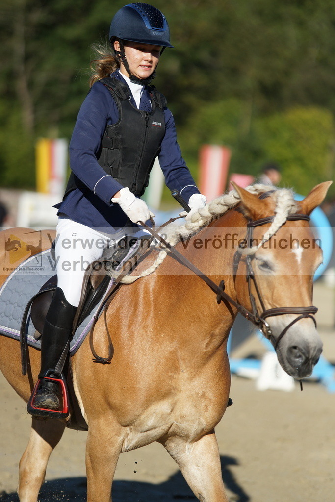 DSC08166 | equestrian-live-com