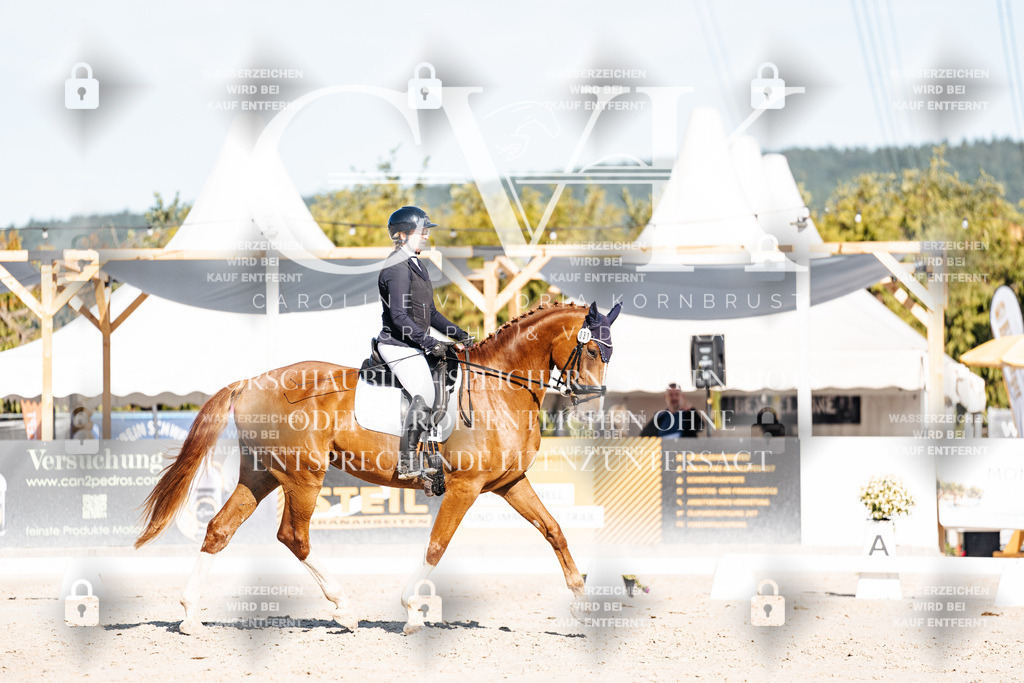 CK907634 | Turnierfotografie Pferdefotografie Trier Rheinland-Pfalz Pferdesport Reitsport Tierfotografie Sportfotografie Pferdevideo Pferdevideografie Equestrianvideography equestrianphotography  - Realisiert mit Pictrs.com