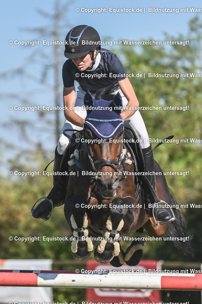 20230908_24_Springen_M_0041 | equistock