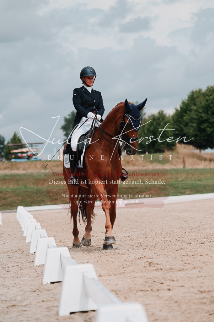 DSC_4220 | Pferde- und Turnierfotografie in Westsachsen. Pferdeportraits, Auftragszeichnungen und intuitive Kunst.