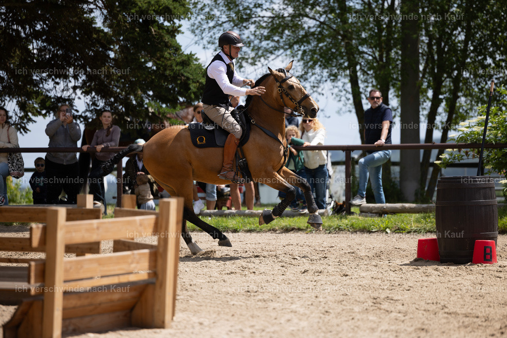 Masterclass_stoibphotography_C2_C8714.CR3 | working equitationturnier fotograf videograf stoibphotography marixx film working equitation deutschland reitsport turnierfotografie eventfotografie equestrian events