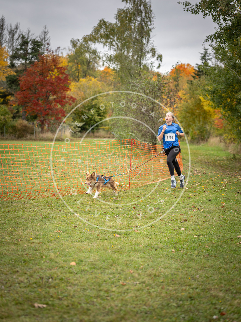 Pfotenfotografie_DV3A3617 | Hundefotografie, Tierfotograf, Pfotenfotografie, Fotoshooting Hund, Hunde Portrait, Hundesport, Hundeportraits, Heideshooting, Hunde, Sportfotograf, Hundefotograf, Turnierhundsport, THS,  - Realisiert mit Pictrs.com