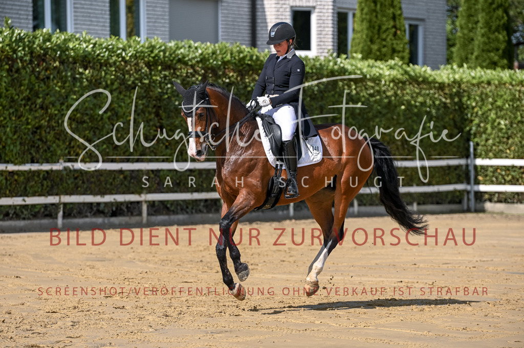 Schugtsche-Aluta25-58. Dressurprf.S1Kand.St.GeorgSpecial-266 | Schugtsche Fotografie - Realisiert mit Pictrs.com