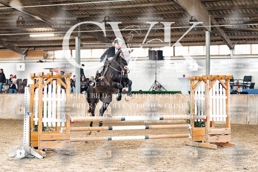 CK904161 | Turnierfotografie Pferdefotografie Trier Rheinland-Pfalz Pferdesport Reitsport Tierfotografie Sportfotografie Pferdevideo Pferdevideografie Equestrianvideography equestrianphotography  - Realisiert mit Pictrs.com