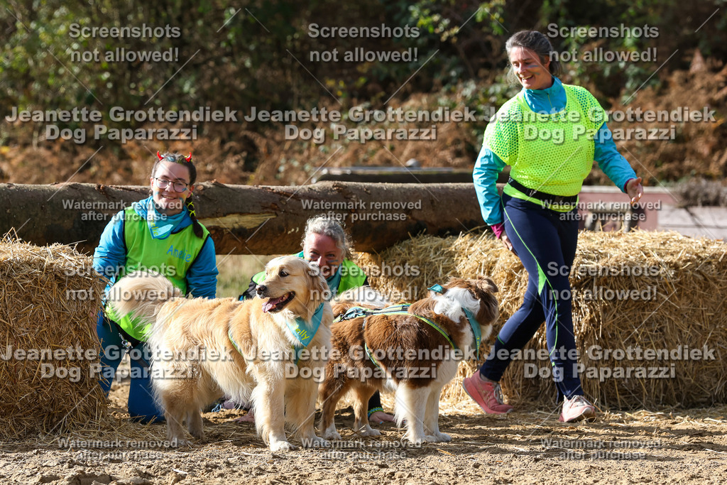 Dog Paparazzi - Strongdog 10-25-5589 | Dog Paparazzi Jeanette Grottendiek Fotografie & Videografie - Realisiert mit Pictrs.com