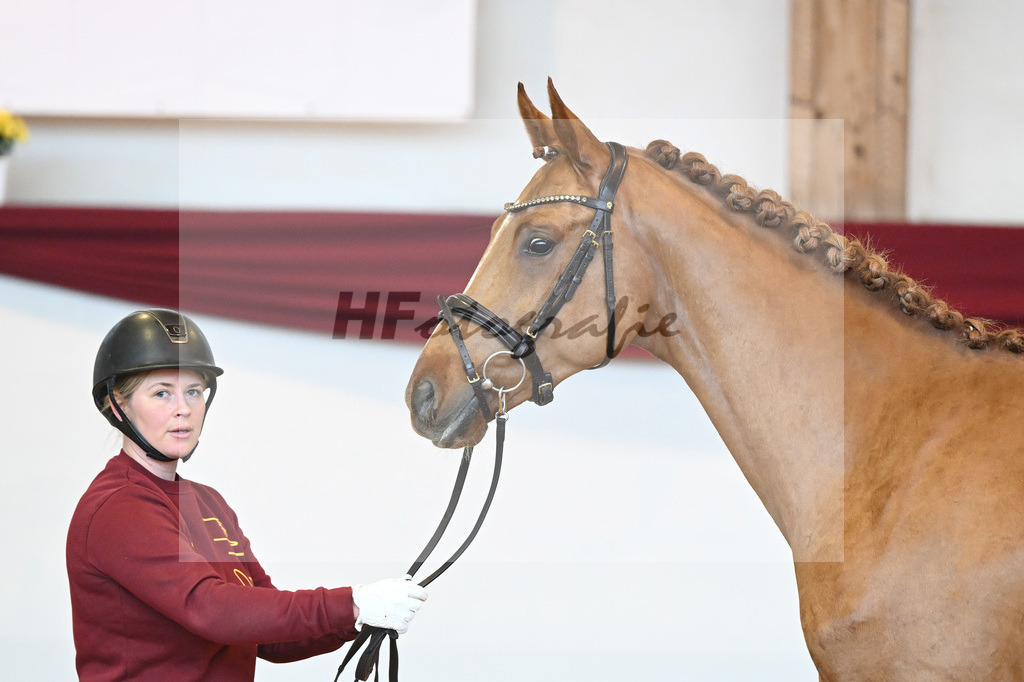 Kat-Nr. 56 v. Vivaldos_Fischer_66220830 | hf-fotografie - Realisiert mit Pictrs.com