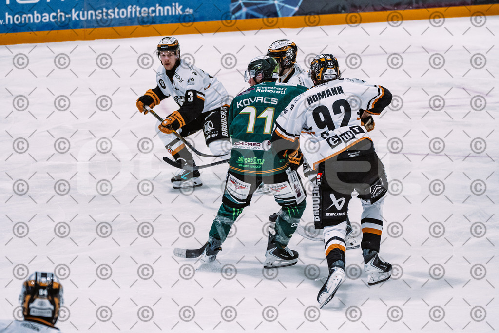 Alligators_vs_Fuessen_27_09_2026-43 | Die Fotogalerie von Daddel: professionelle Bilder von Sport, Events und Unternehmen aus Franken. Jetzt Galerien durchstöbern und Lieblingsfotos bestellen. - Realisiert mit Pictrs.com